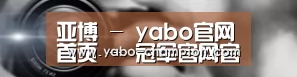 公司动态