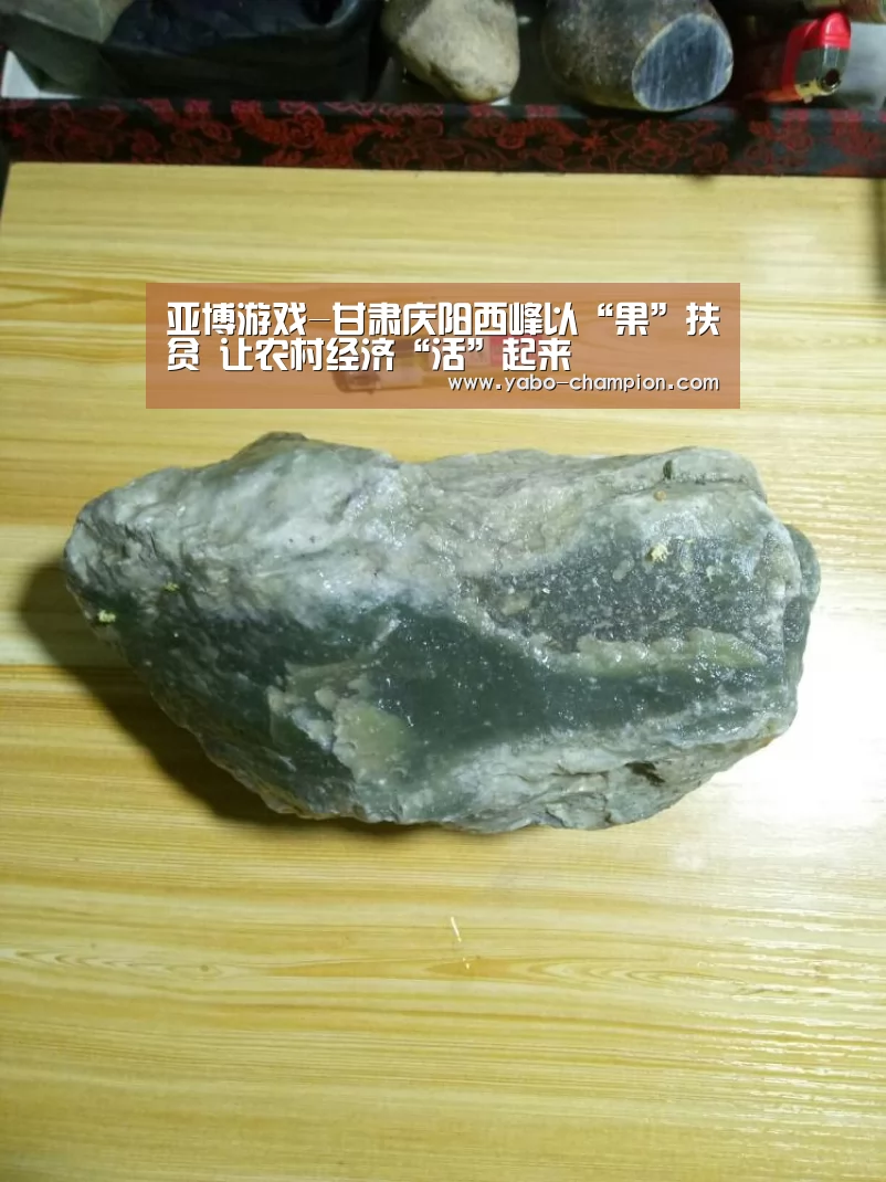 亚博游戏-甘肃庆阳西峰以“果”扶贫 让农村经济“活”起来(图4) 亚博平台