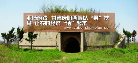 亚博游戏-甘肃庆阳西峰以“果”扶贫 让农村经济“活”起来(图2) 亚博推荐