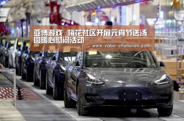 亚博游戏-梅花社区开展元宵节送汤圆暖心慰问活动(图4) 亚博首页