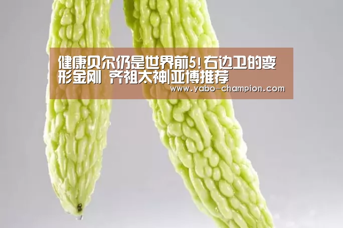 健康贝尔仍是世界前5!右边卫的变形金刚 齐祖太神|亚博推荐(图1) 亚博游戏