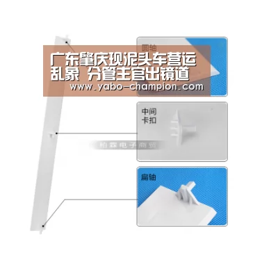 广东肇庆现泥头车营运乱象 分管主官出镜道歉_亚博首页(图1) 亚博平台