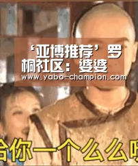 ‘亚博推荐’罗桐社区:婆婆妈妈编织队 雪中送温情(图3) 亚博首页